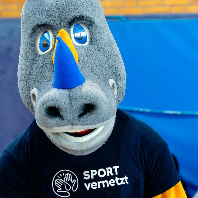 Maskottchen in einem grauen Rhinozeros-Kostüm mit blauen Details, das ein schwarzes Shirt mit „SPORT vernetzt“ trägt.